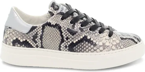 Baskets Crime London LOW TOP CLASSIC en imprimé rock