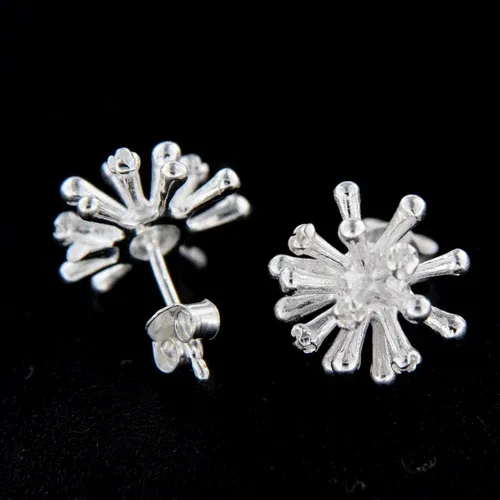 AMIATEX Boucles d'oreilles argent 14731